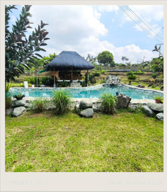 Tropical pool